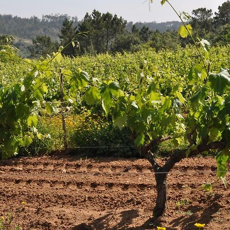 Quinta Da Serrana Ourém Екстериор снимка