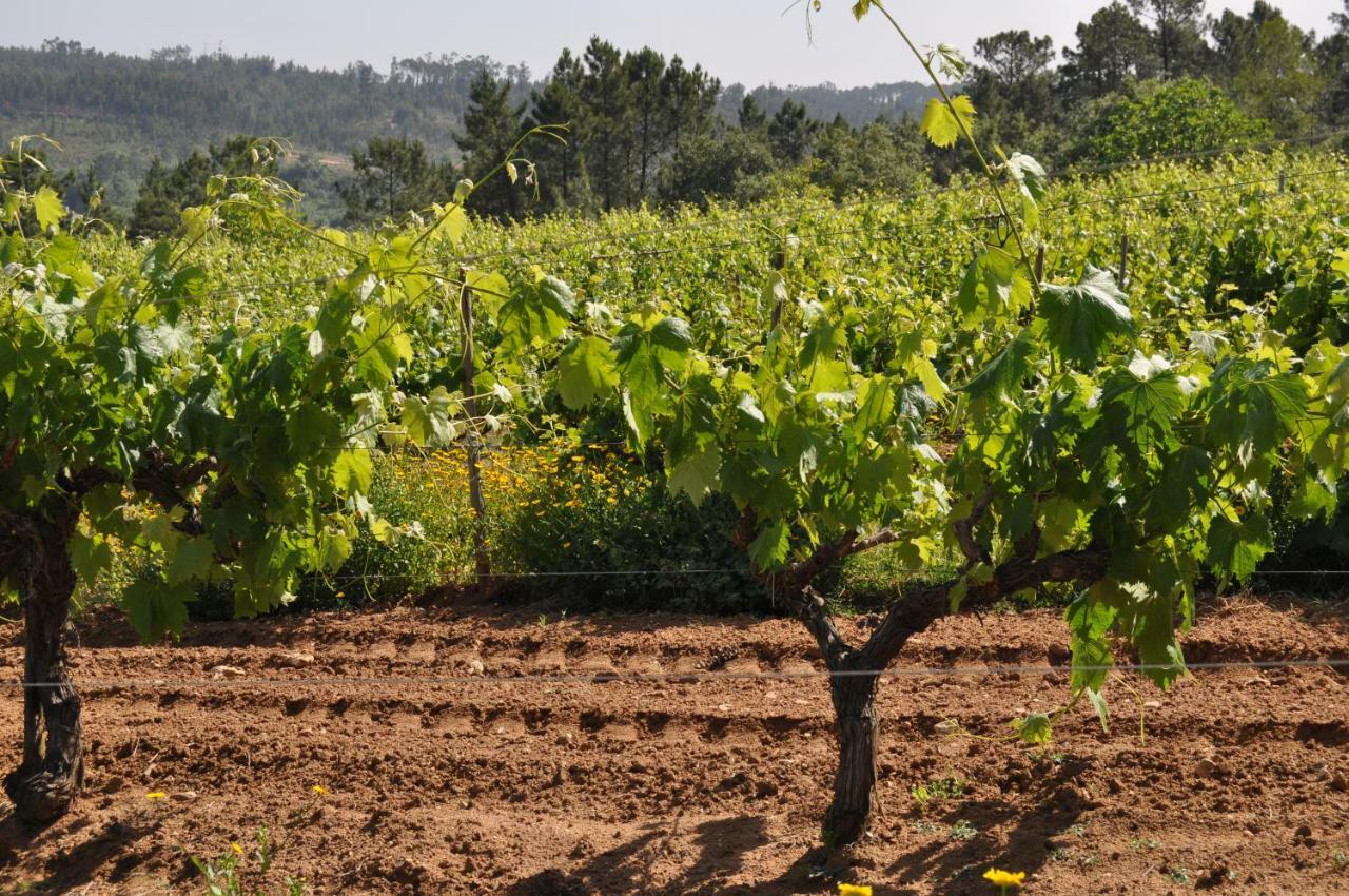 Quinta Da Serrana Ourém Екстериор снимка